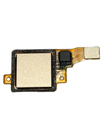 Шлейф Huawei Honor 7 с сканером отпечатка пальцев (золотистый)