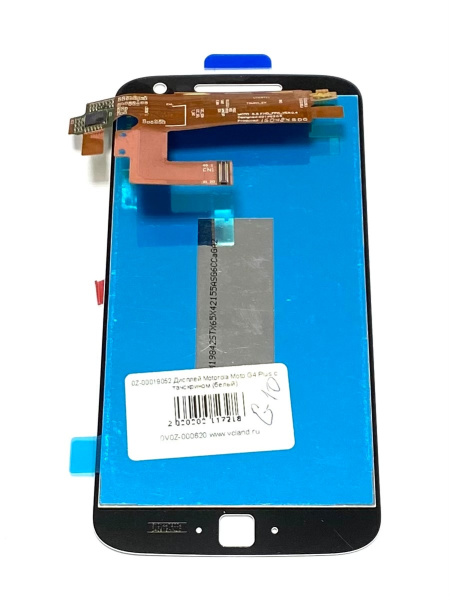Дисплей Motorola Moto G4 Plus (XT1644) с тачскрином (белый)
